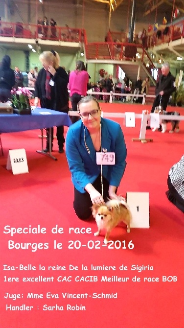 De La Tour de Valbelle - Nationale d'élevage à Bourges le 20-02-2016
